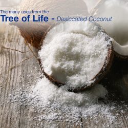 DESICCATED COCONUT